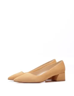 ELSA ante camel