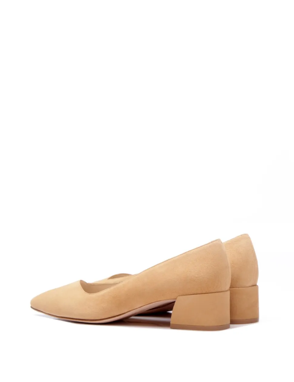 ELSA ante camel