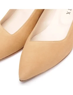 ELSA ante camel