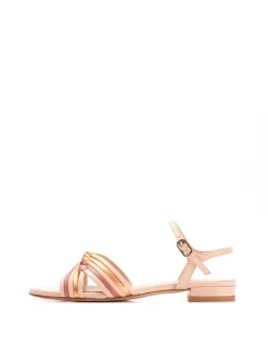 JANET Napa multi-almendra