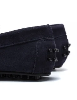 KENNY velour marino