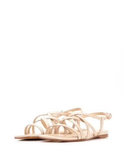 SAKURA Pitón taupe