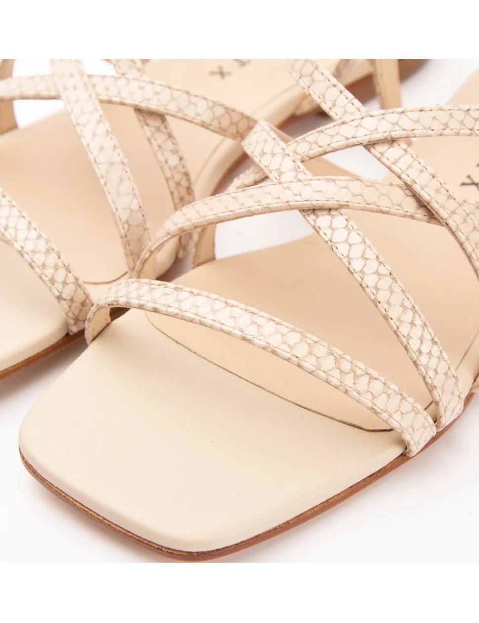 SAKURA Pitón taupe