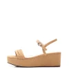SILANA ante camel