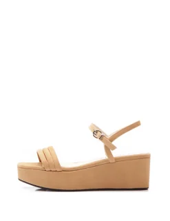SILANA ante camel