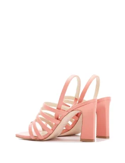 TIMBA Napa coral